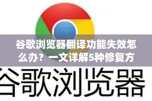谷歌浏览器翻译功能失效怎么办？一文详解5种修复方法（Google解答）
