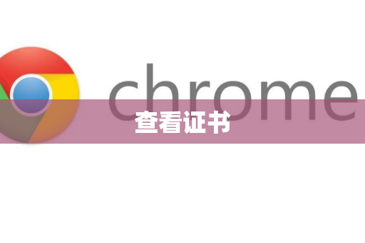查看证书-第1张图片-谷歌浏览器中文|Google2026官网最新版