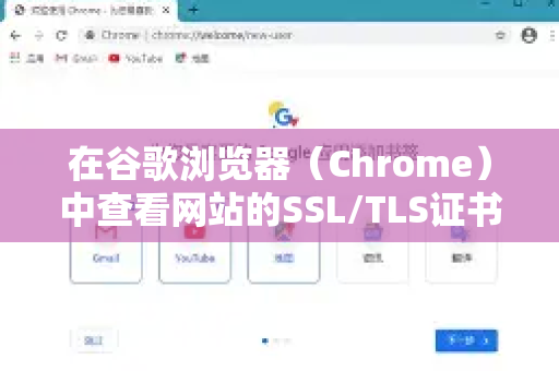 在谷歌浏览器（Chrome）中查看网站的SSL/TLS证书详情非常方便，主要有两种常用方法，分别是 通过地址栏锁图标 和 使用开发者工具-第1张图片-谷歌浏览器中文|Google2026官网最新版