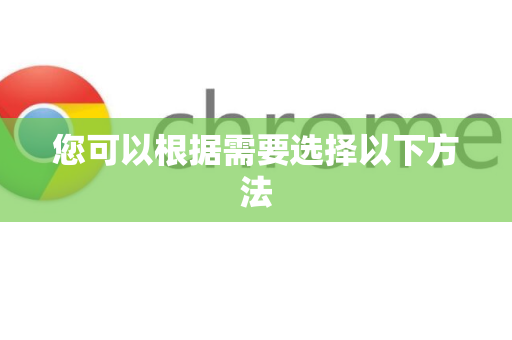 您可以根据需要选择以下方法-第1张图片-谷歌浏览器中文|Google2026官网最新版