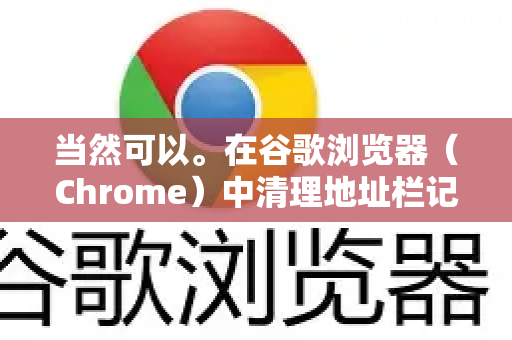 当然可以。在谷歌浏览器（Chrome）中清理地址栏记录，主要涉及清除浏览历史、自动填充的表单数据以及特定的网站建议。以下是详细的方法