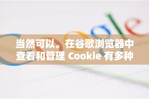 当然可以。在谷歌浏览器中查看和管理 Cookie 有多种方法，主要分为两种路径，一种是面向普通用户的设置页面，另一种是面向开发者的开发者工具