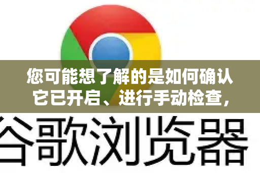 您可能想了解的是如何确认它已开启、进行手动检查，或管理相关的安全设置。以下是详细说明和操作路径