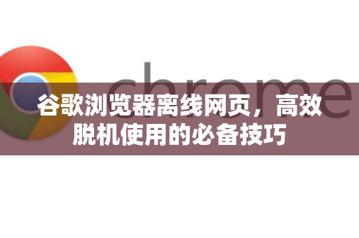 谷歌浏览器离线网页，高效脱机使用的必备技巧