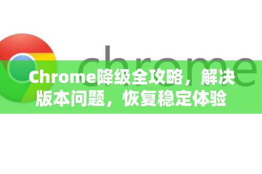 Chrome降级全攻略，解决版本问题，恢复稳定体验